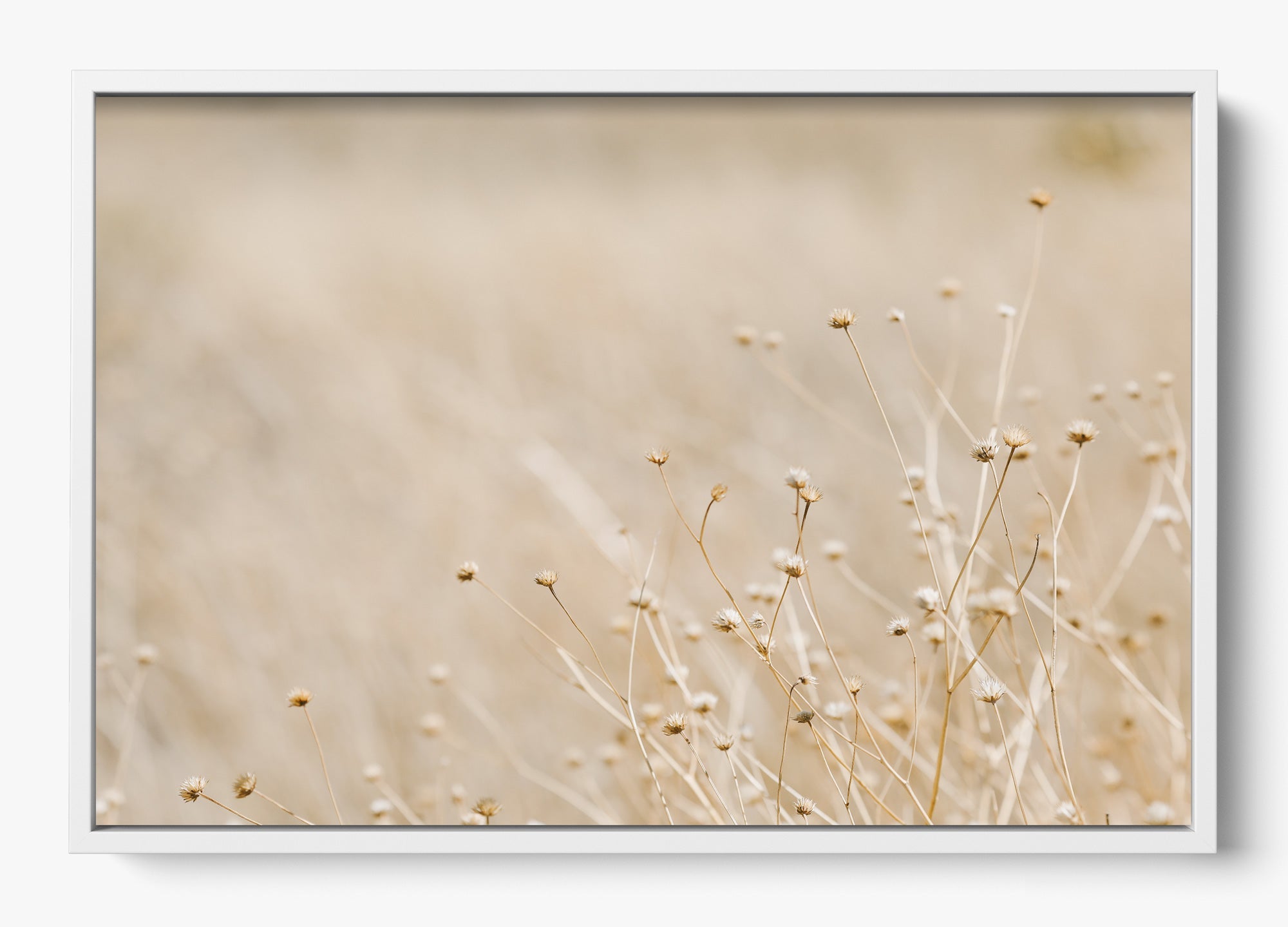 Soft West