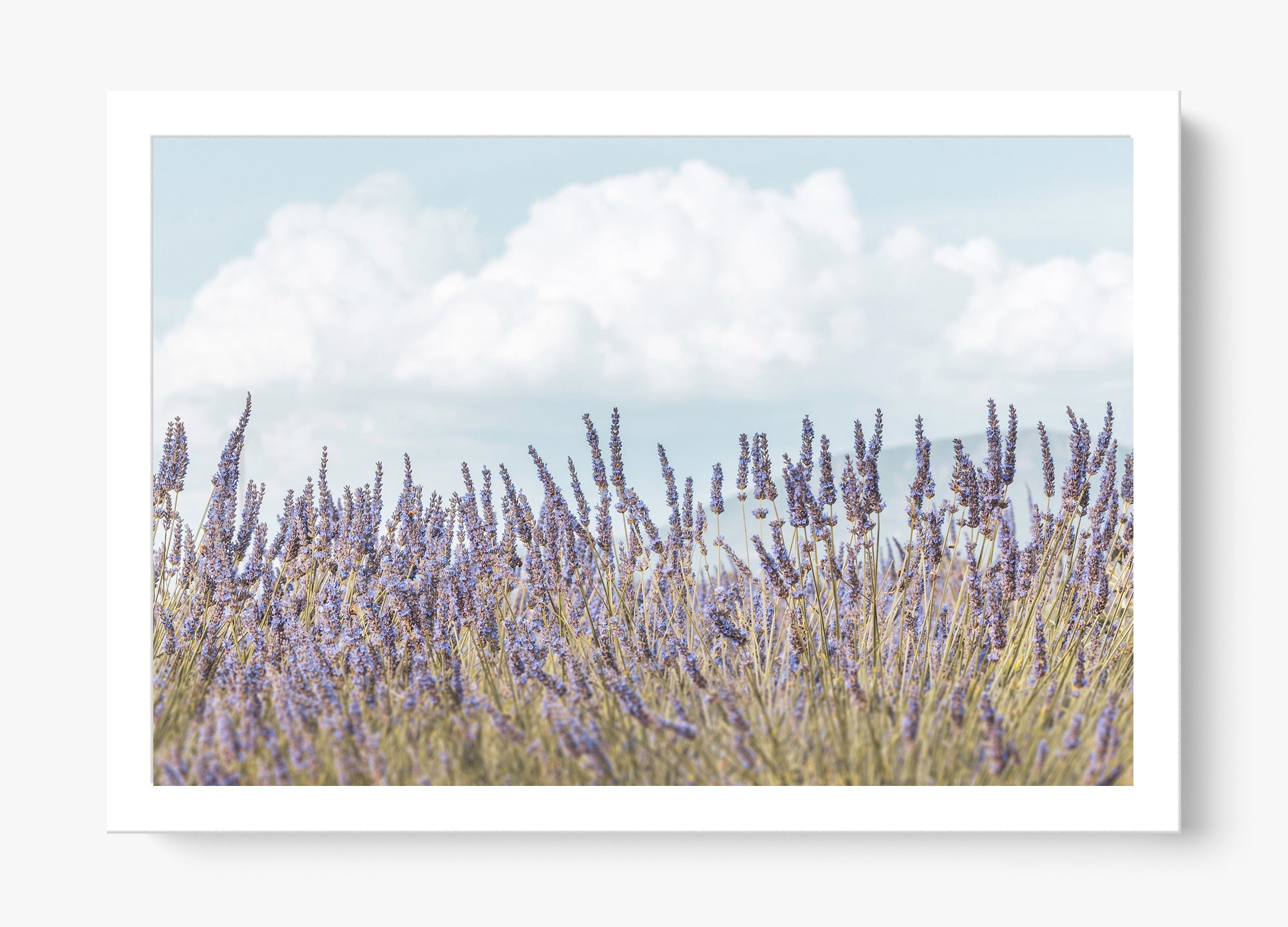 Provence