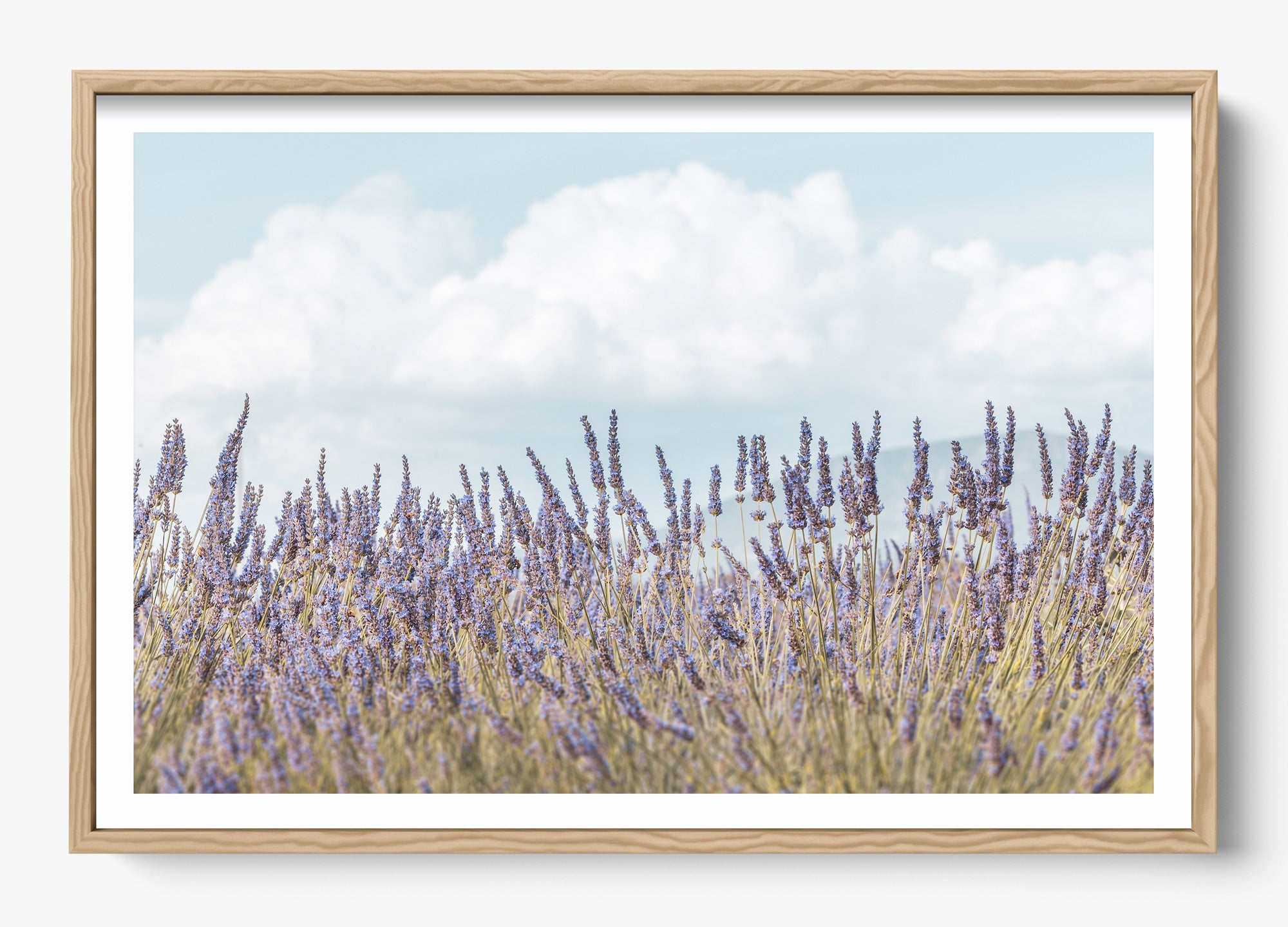 Provence