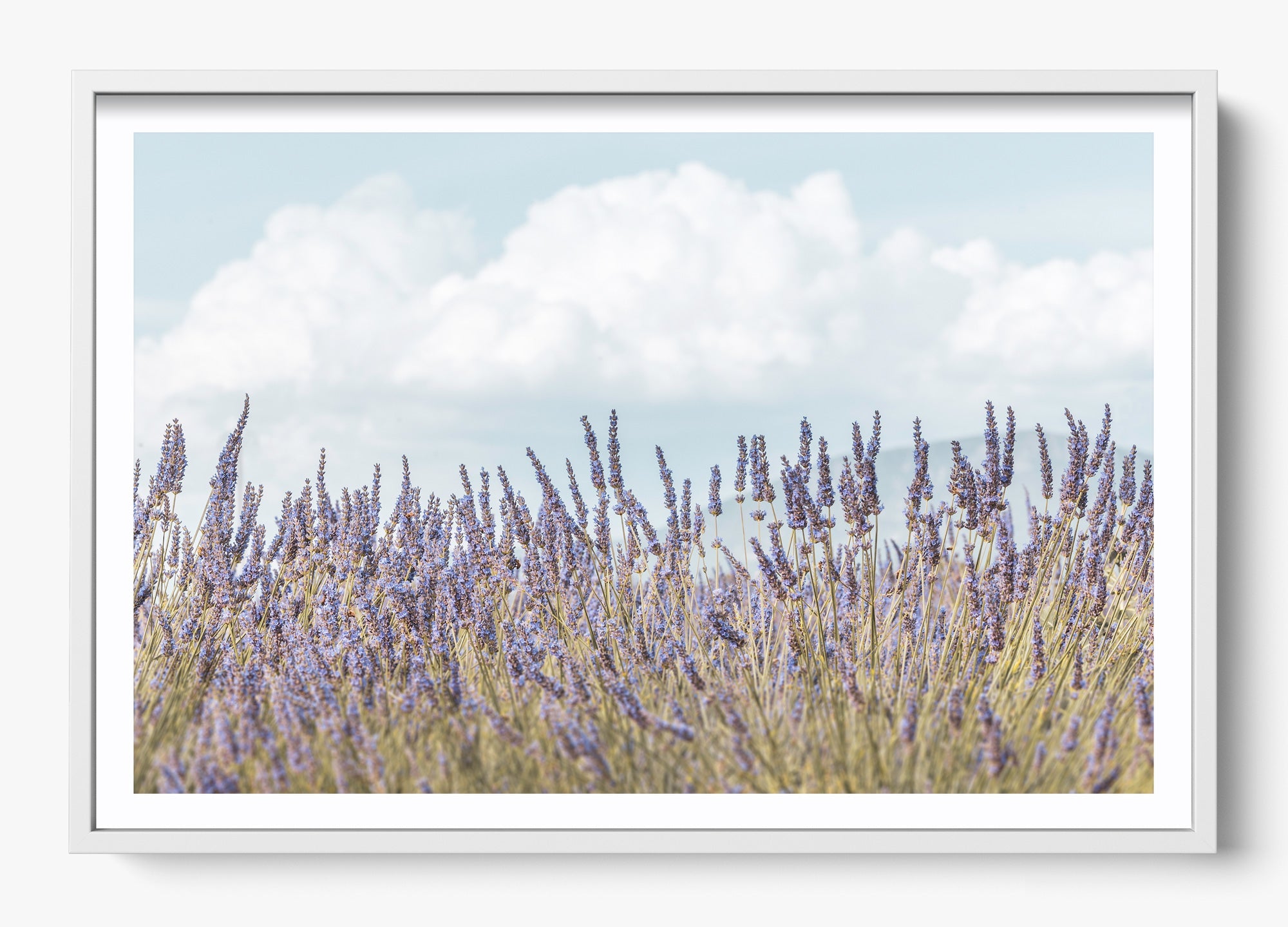 Provence