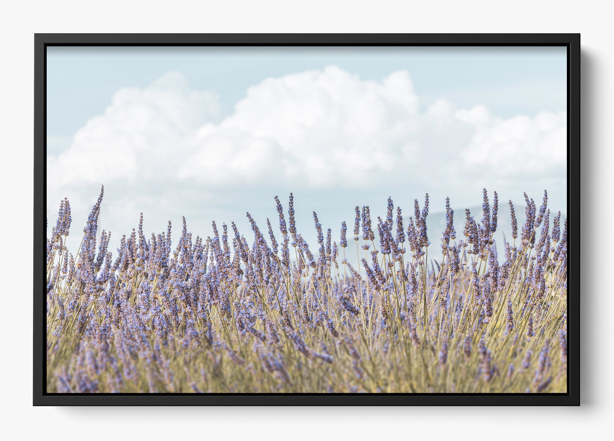 Provence