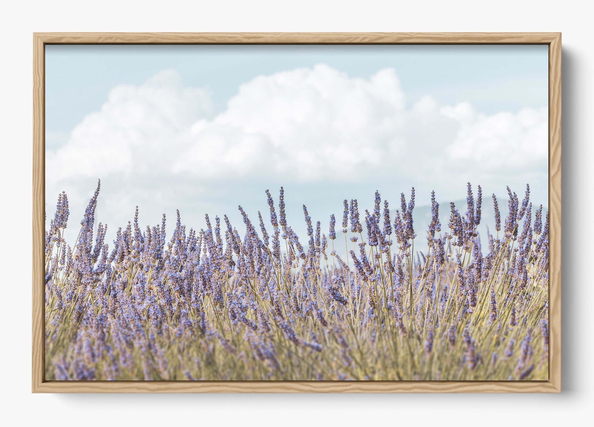 Provence