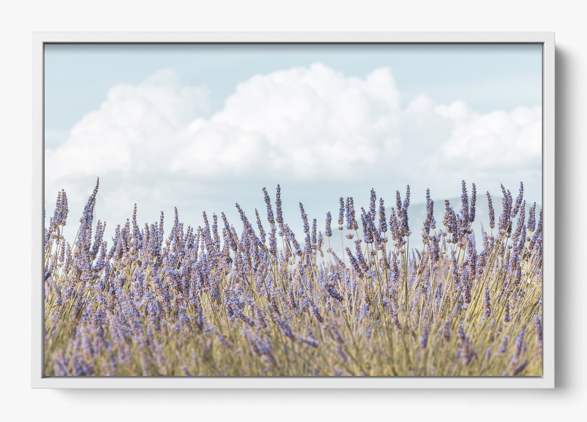 Provence
