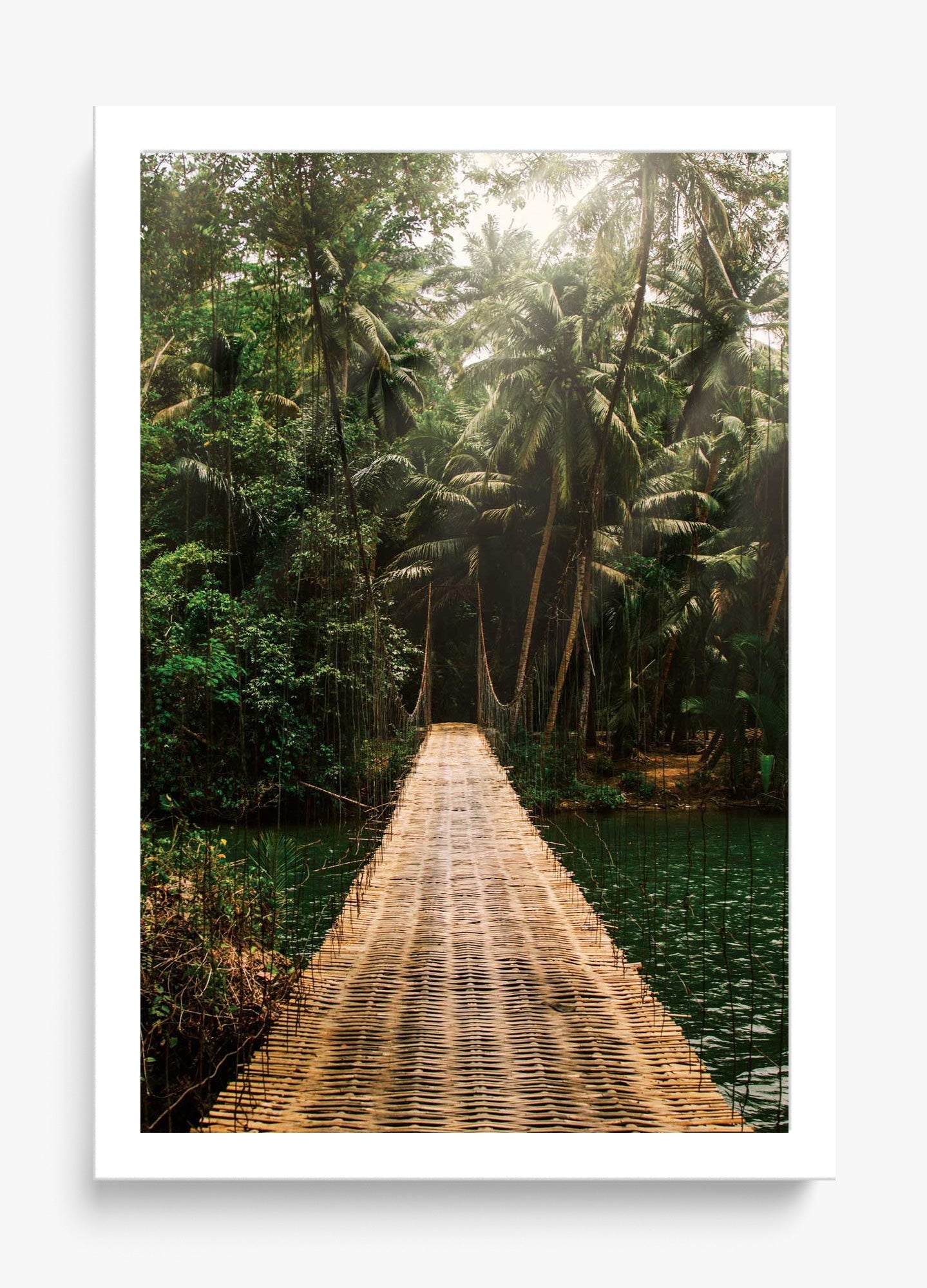 Bridge To Safety