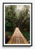 Bridge To Safety