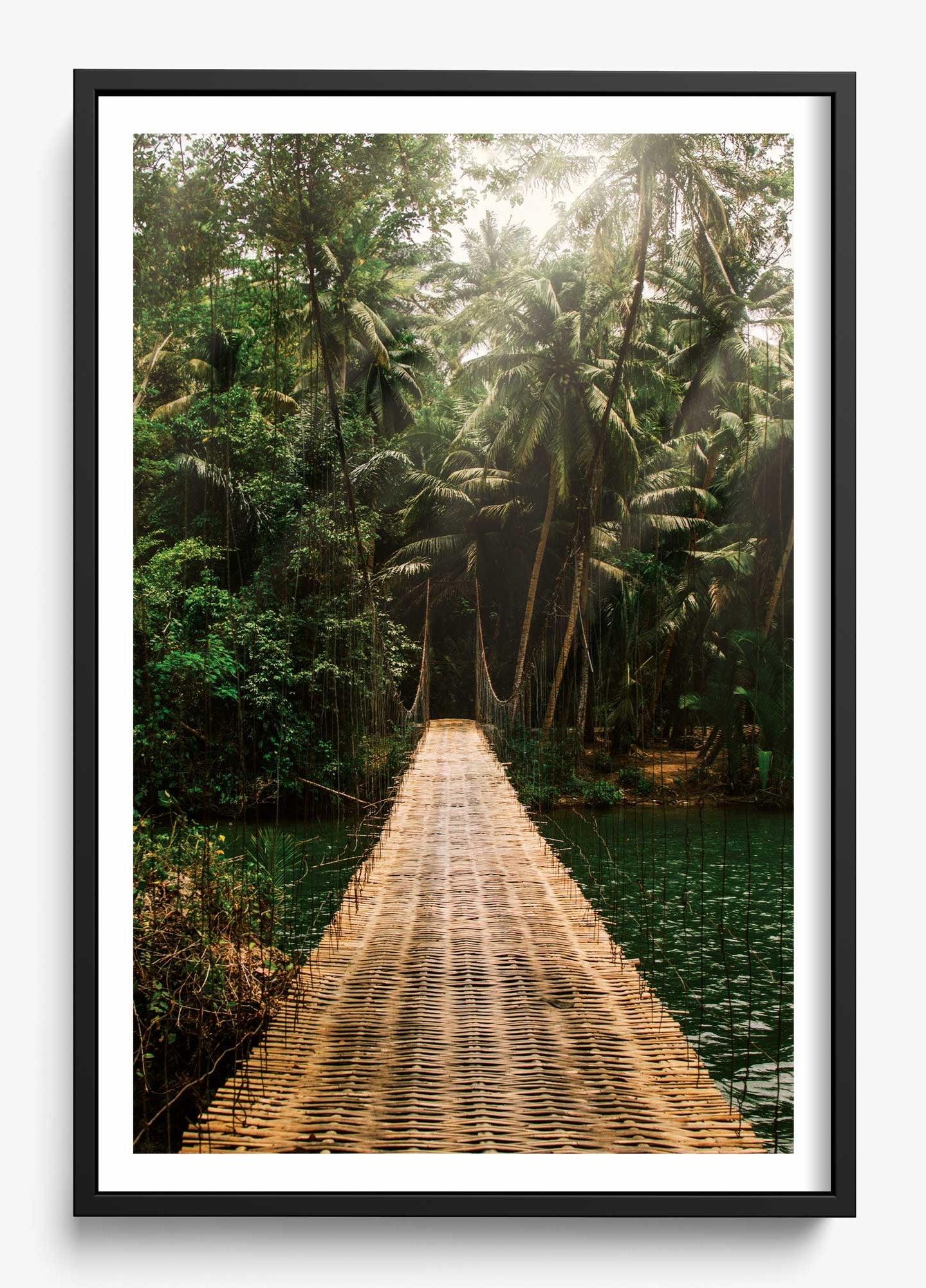 Bridge To Safety