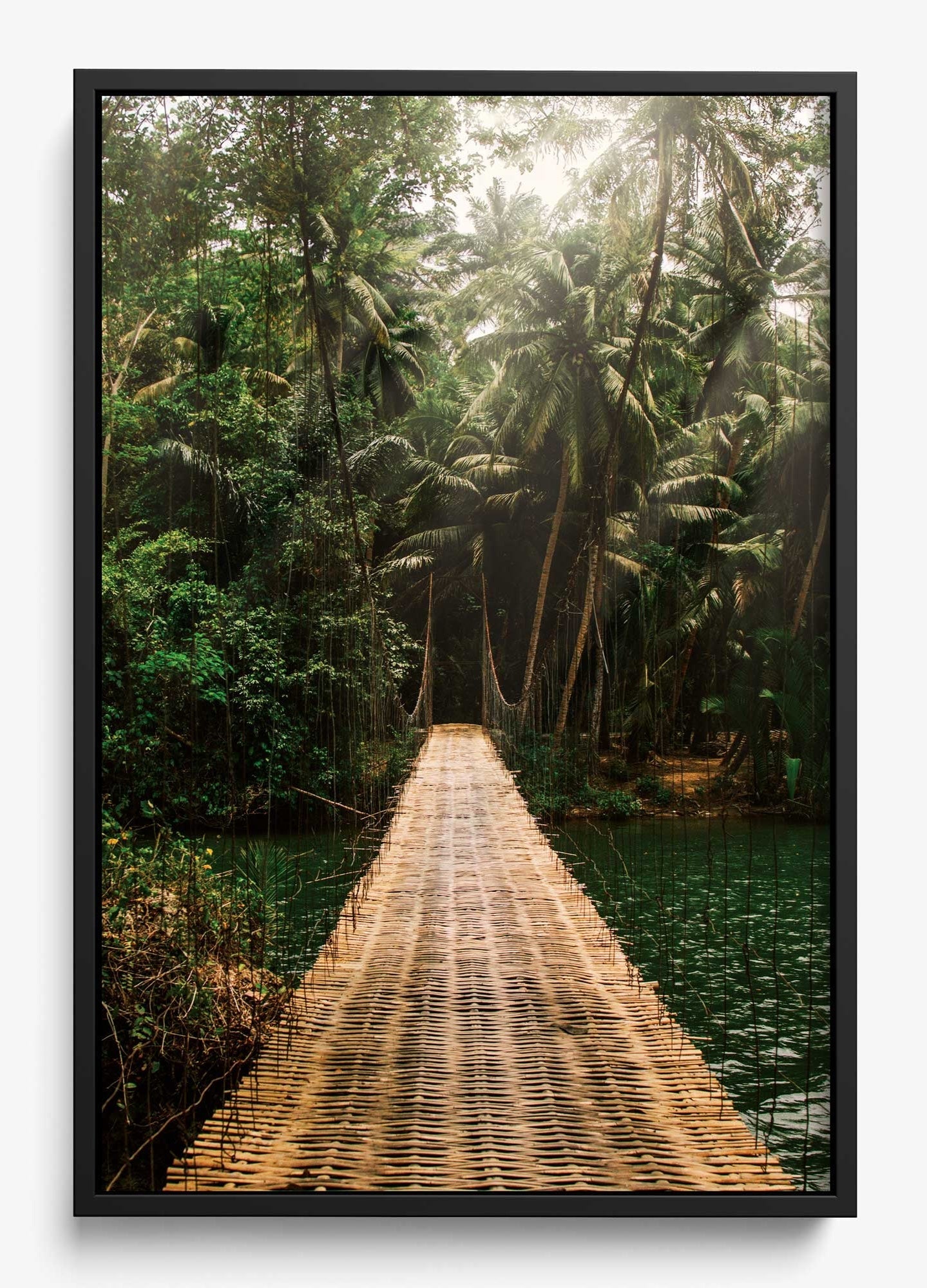 Bridge To Safety