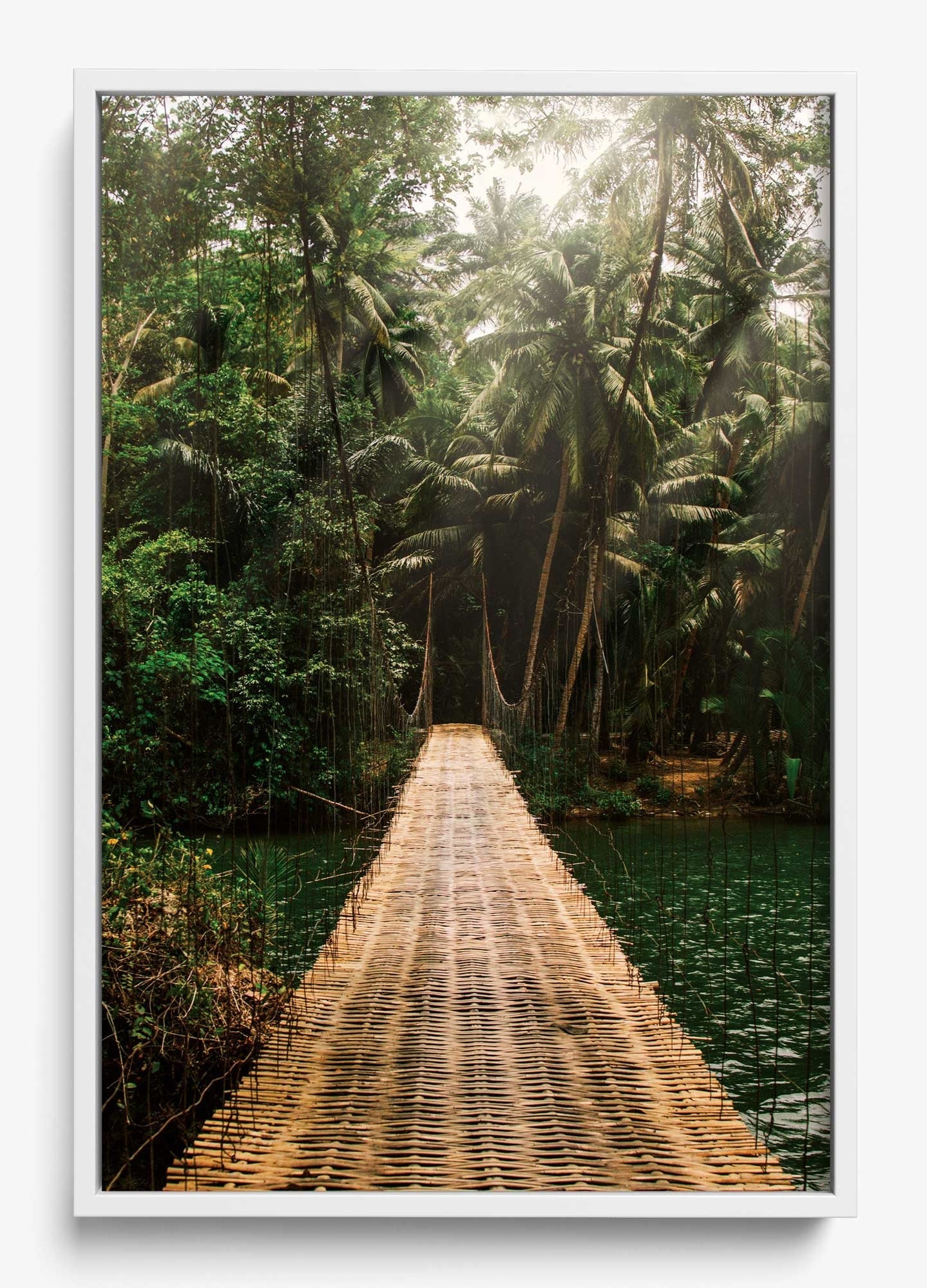 Bridge To Safety