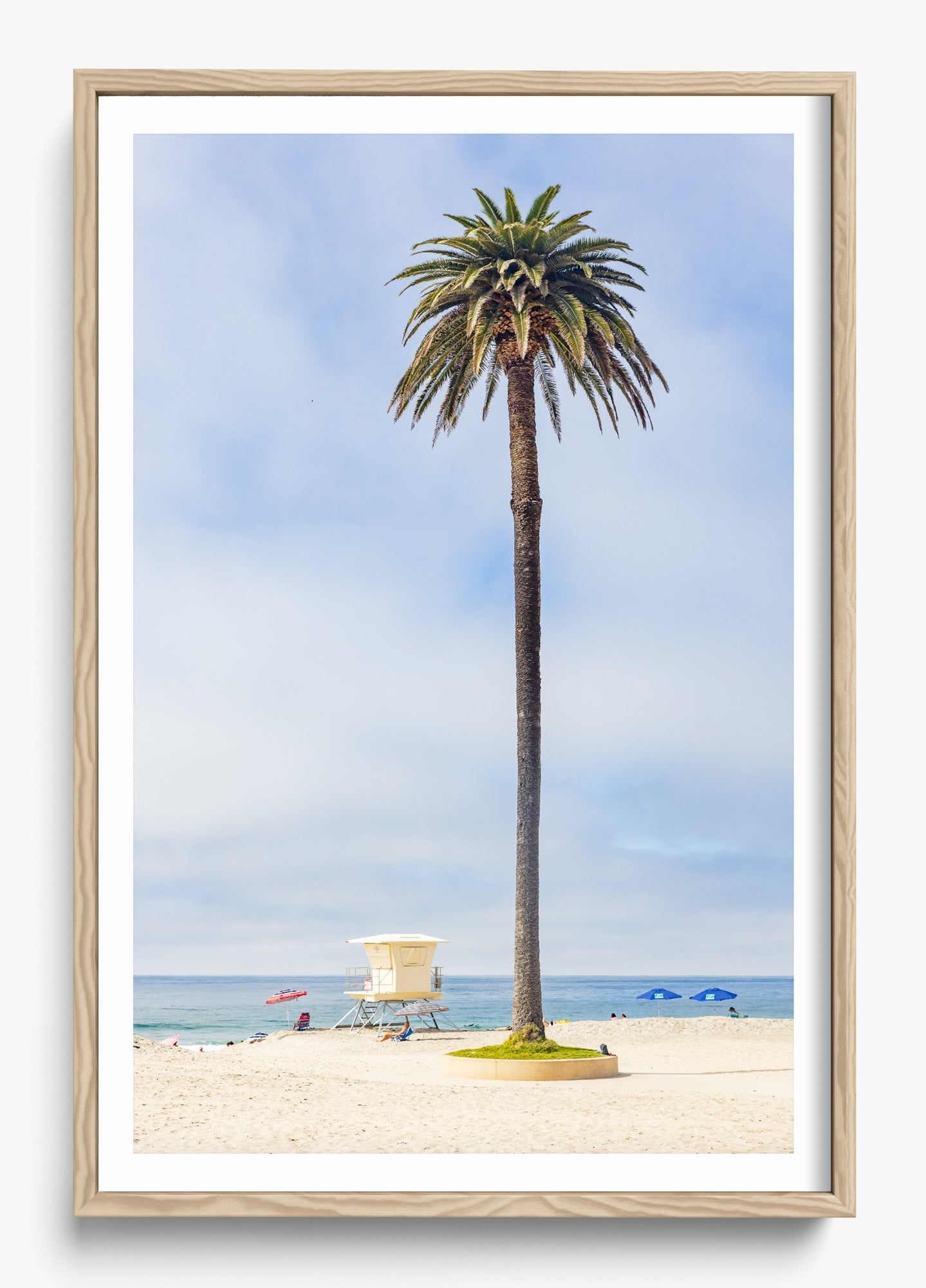 San Diego Palms