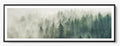 Foggy Pines