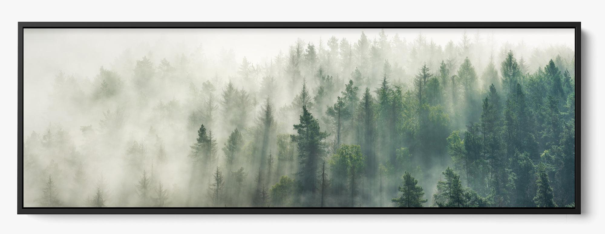 Foggy Pines