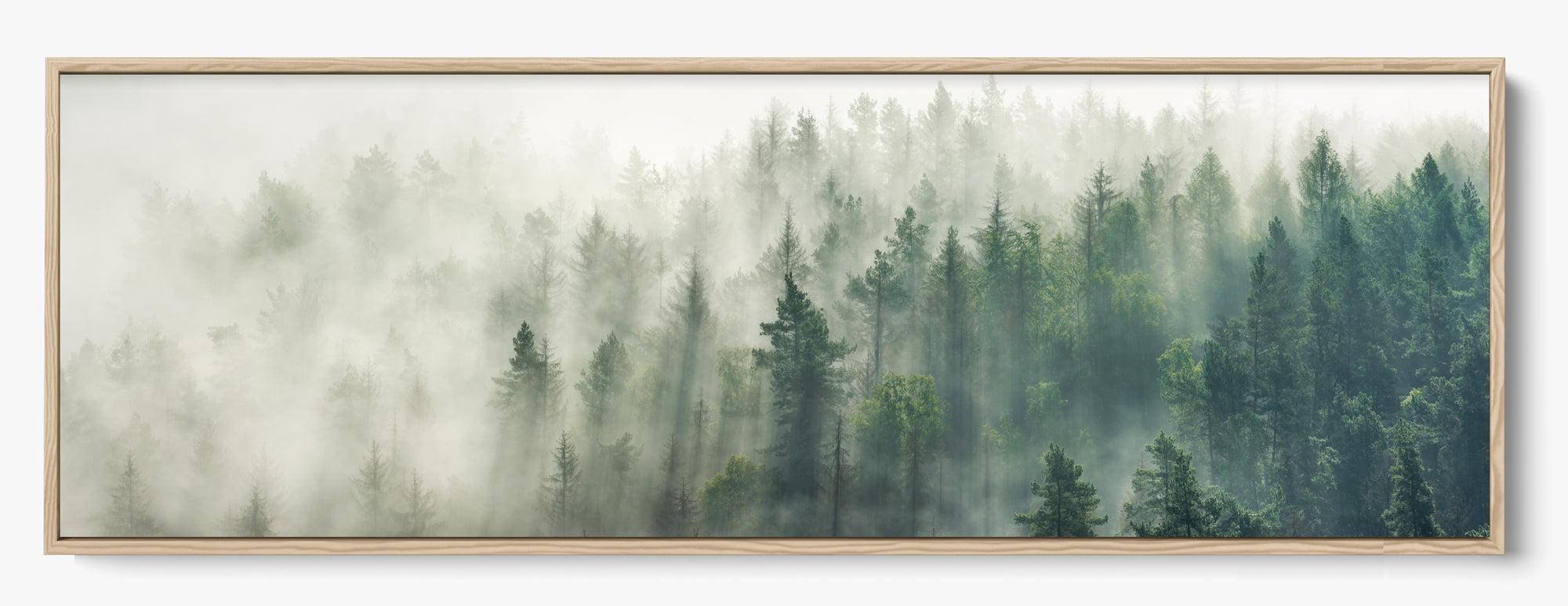 Foggy Pines