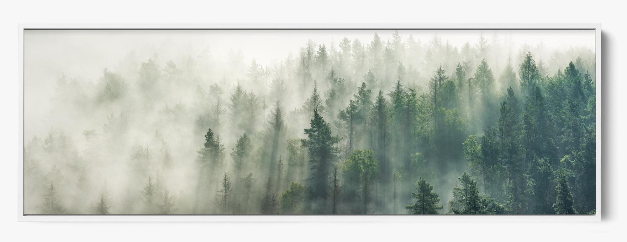 Foggy Pines