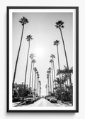 Street To Surf