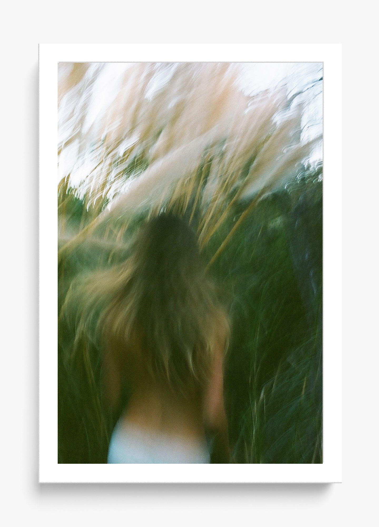 Dream Of Summer