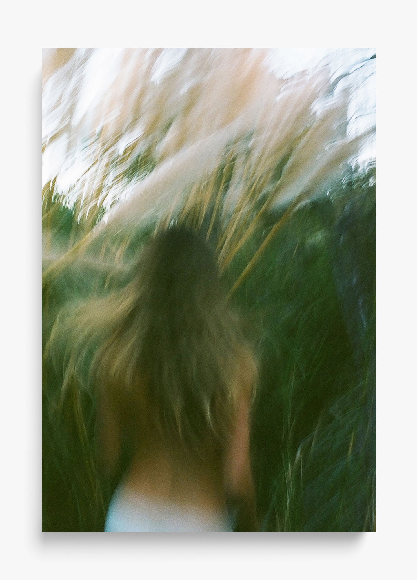 Dream Of Summer