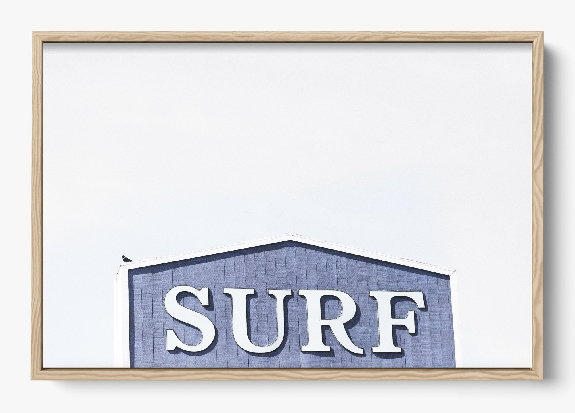 Surf Mendocino