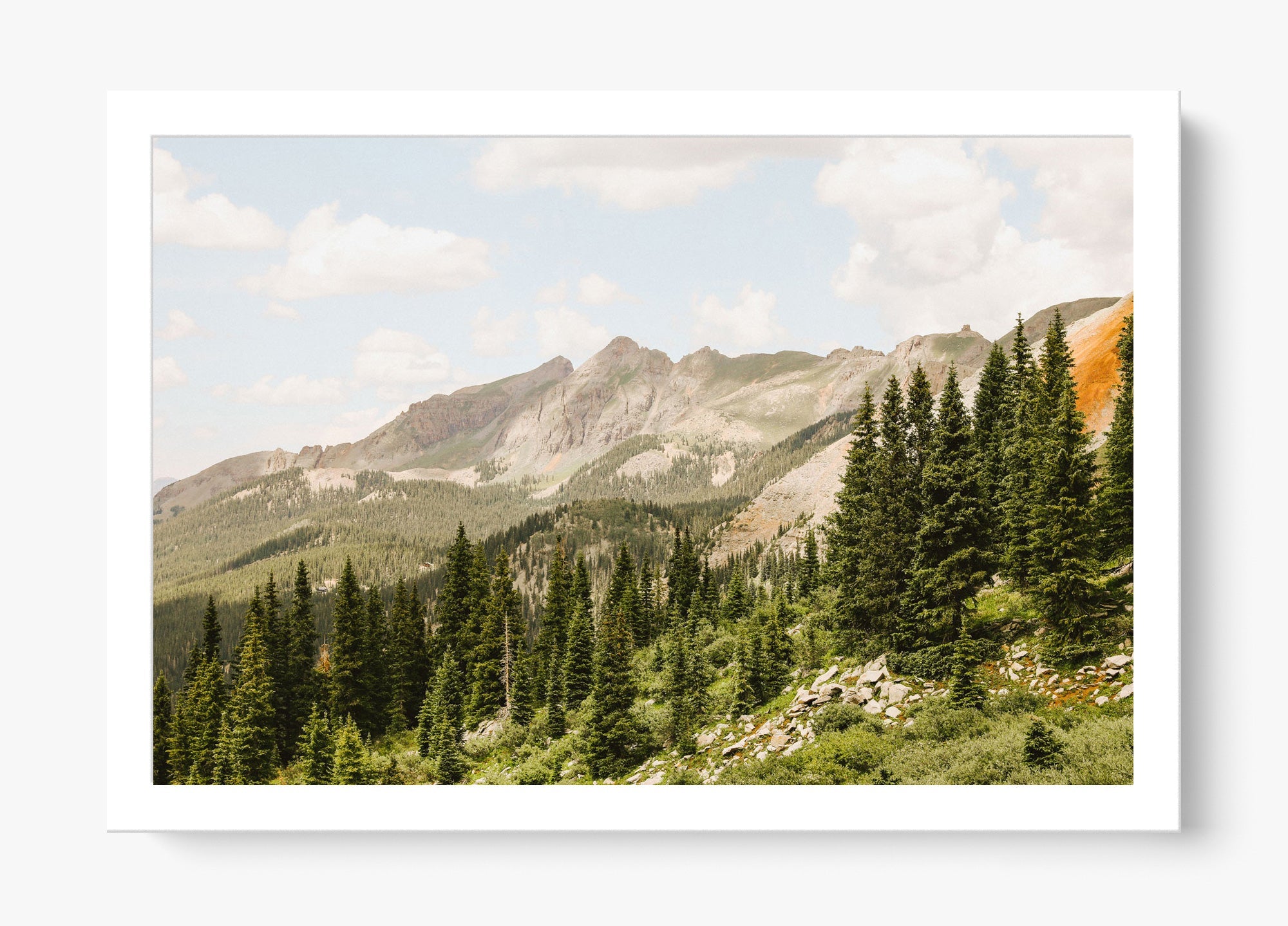 Telluride Pines