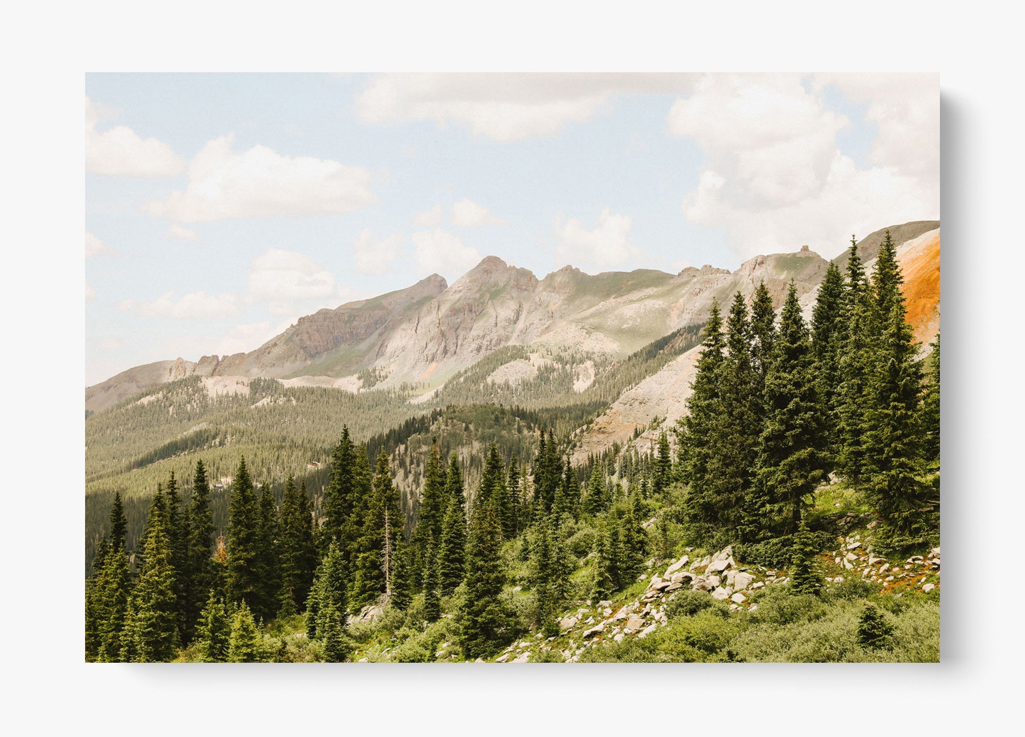 Telluride Pines