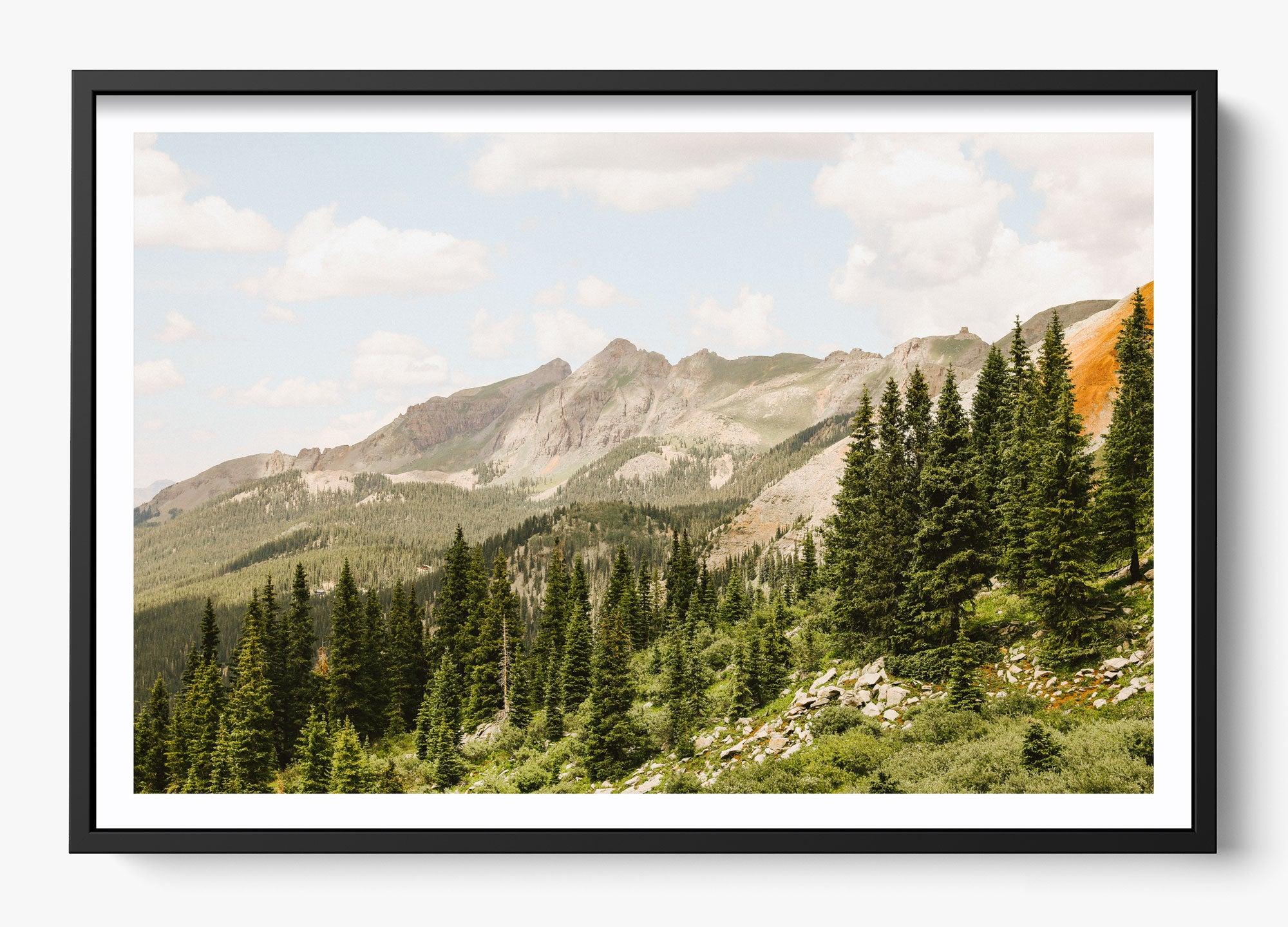 Telluride Pines