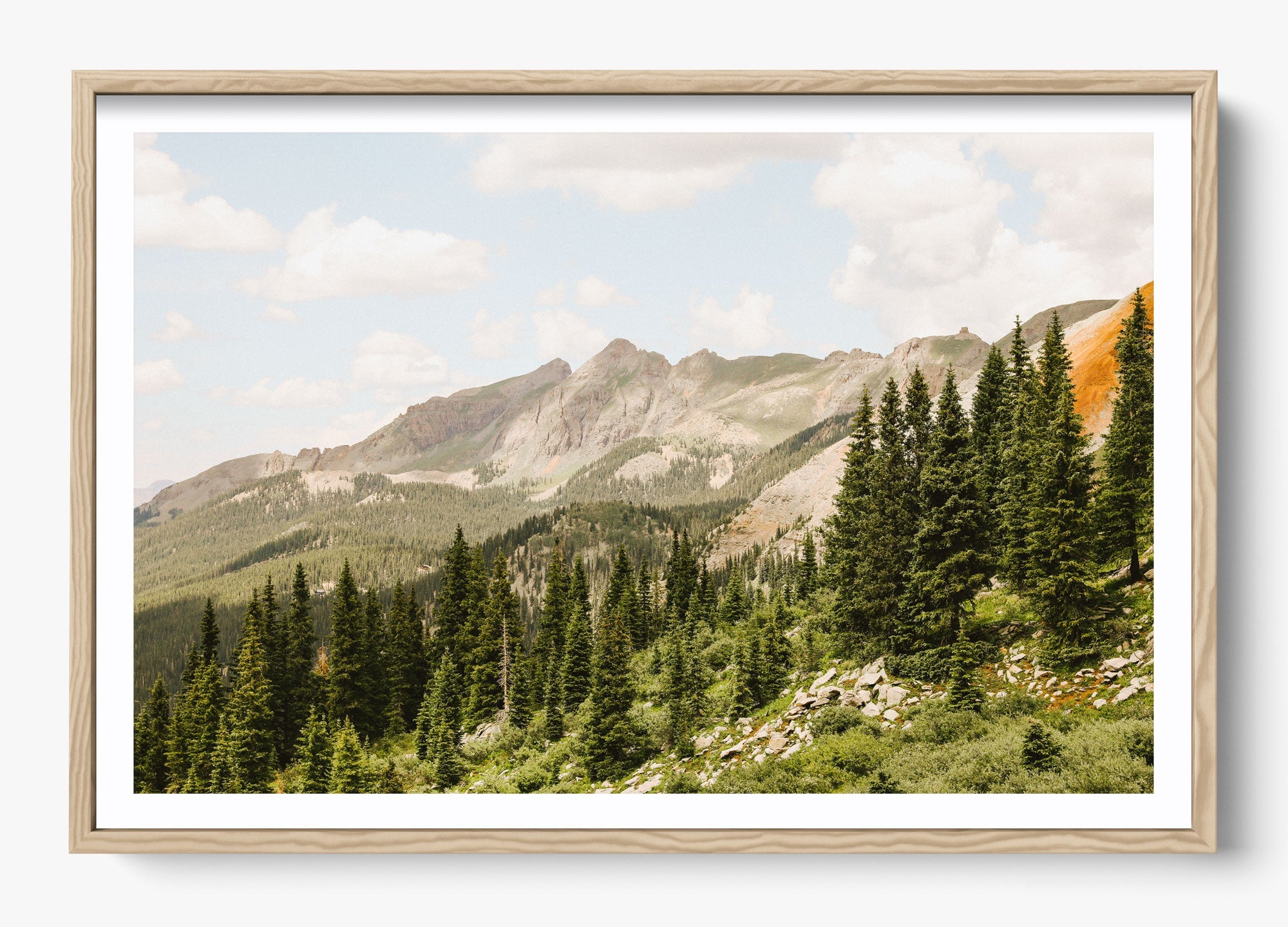 Telluride Pines