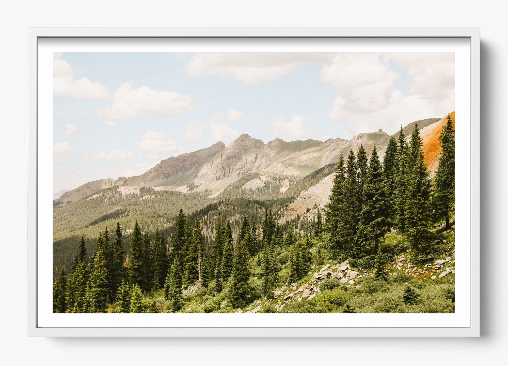 Telluride Pines