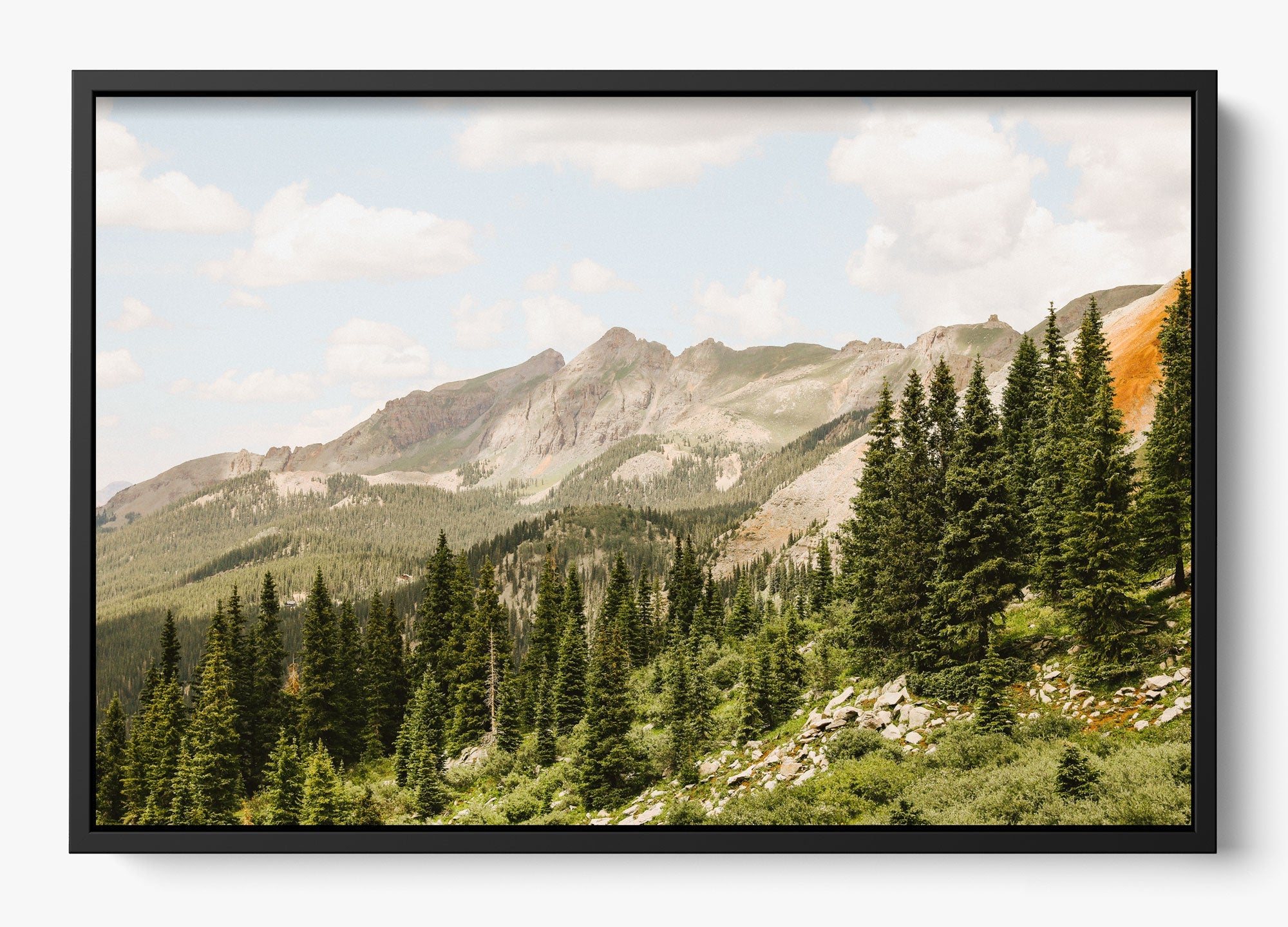 Telluride Pines