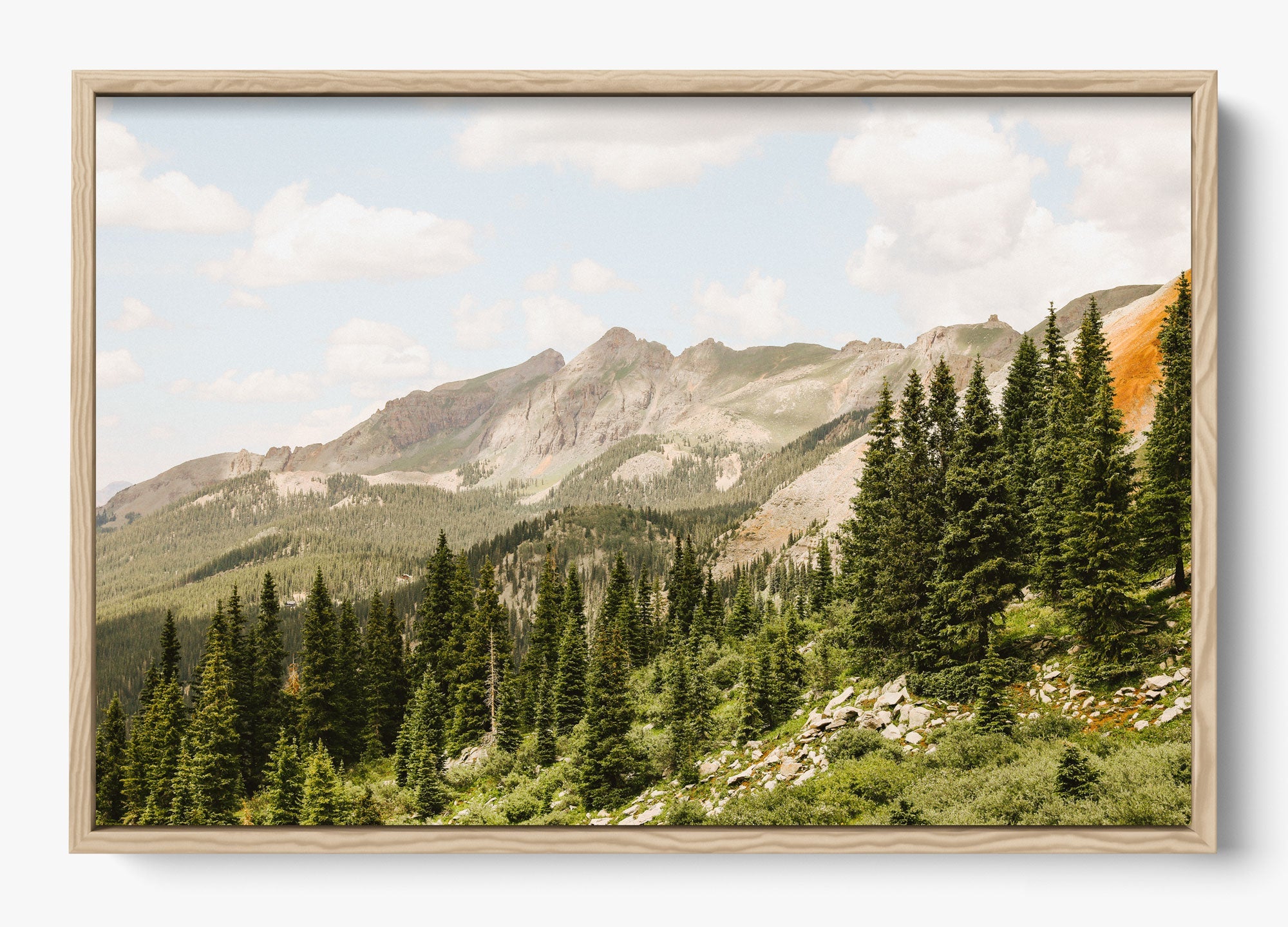 Telluride Pines