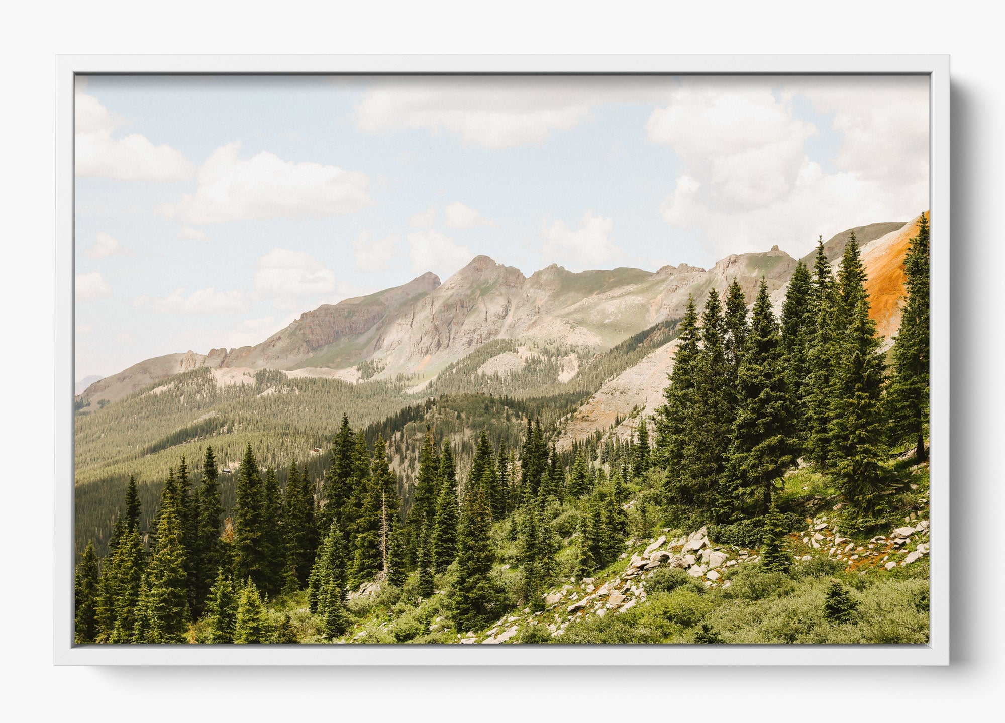 Telluride Pines