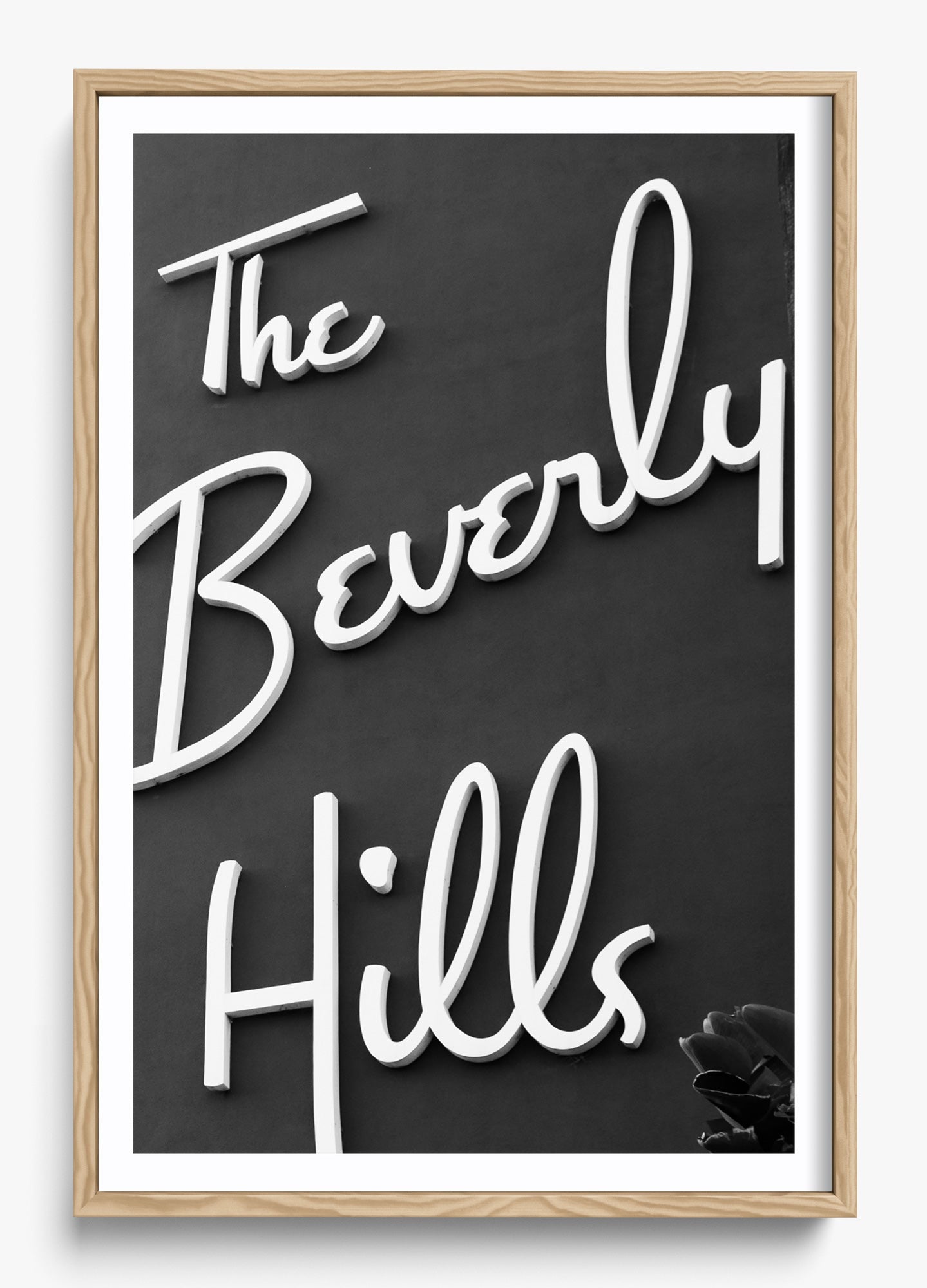 The Beverly Hills