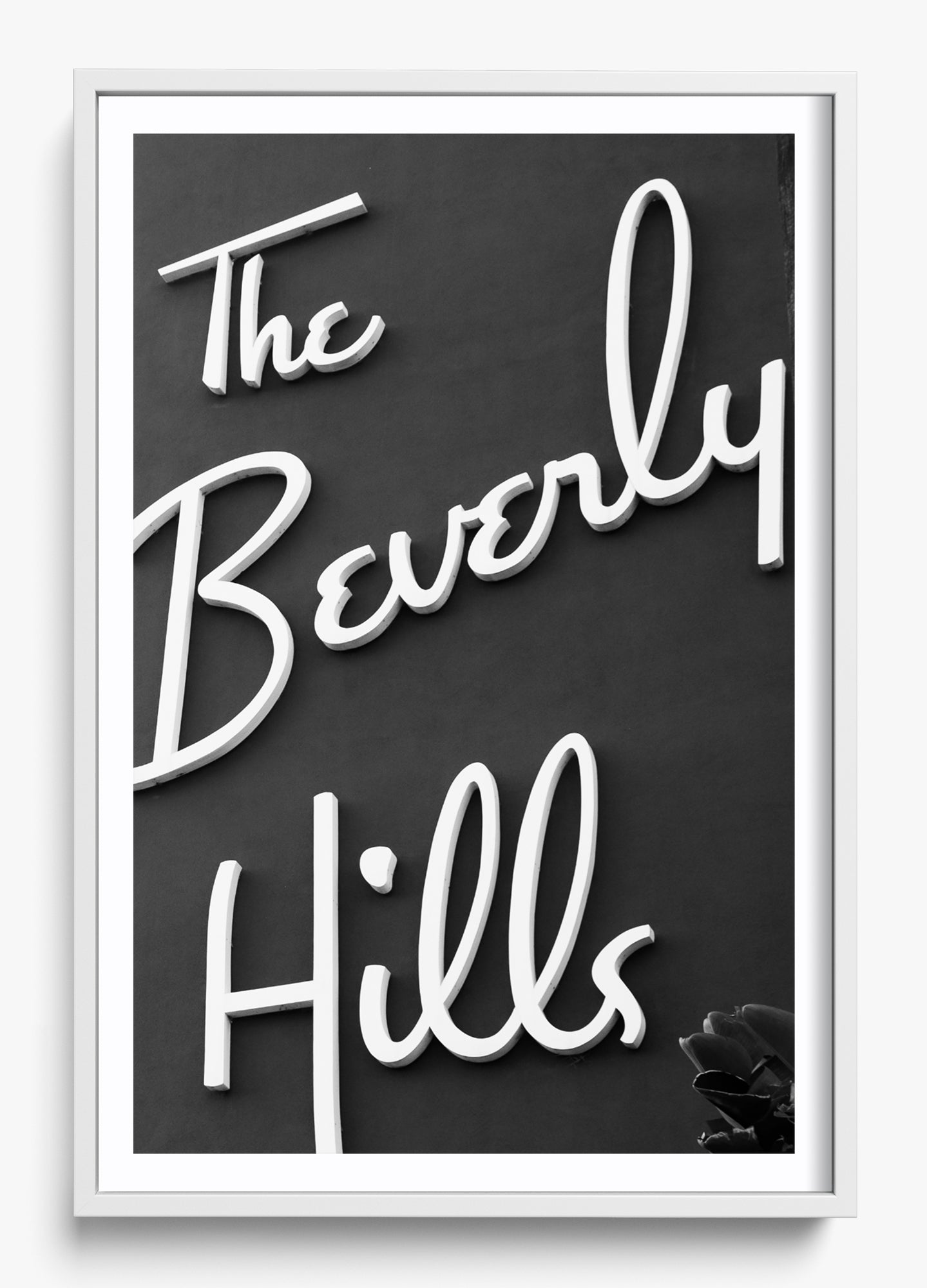 The Beverly Hills
