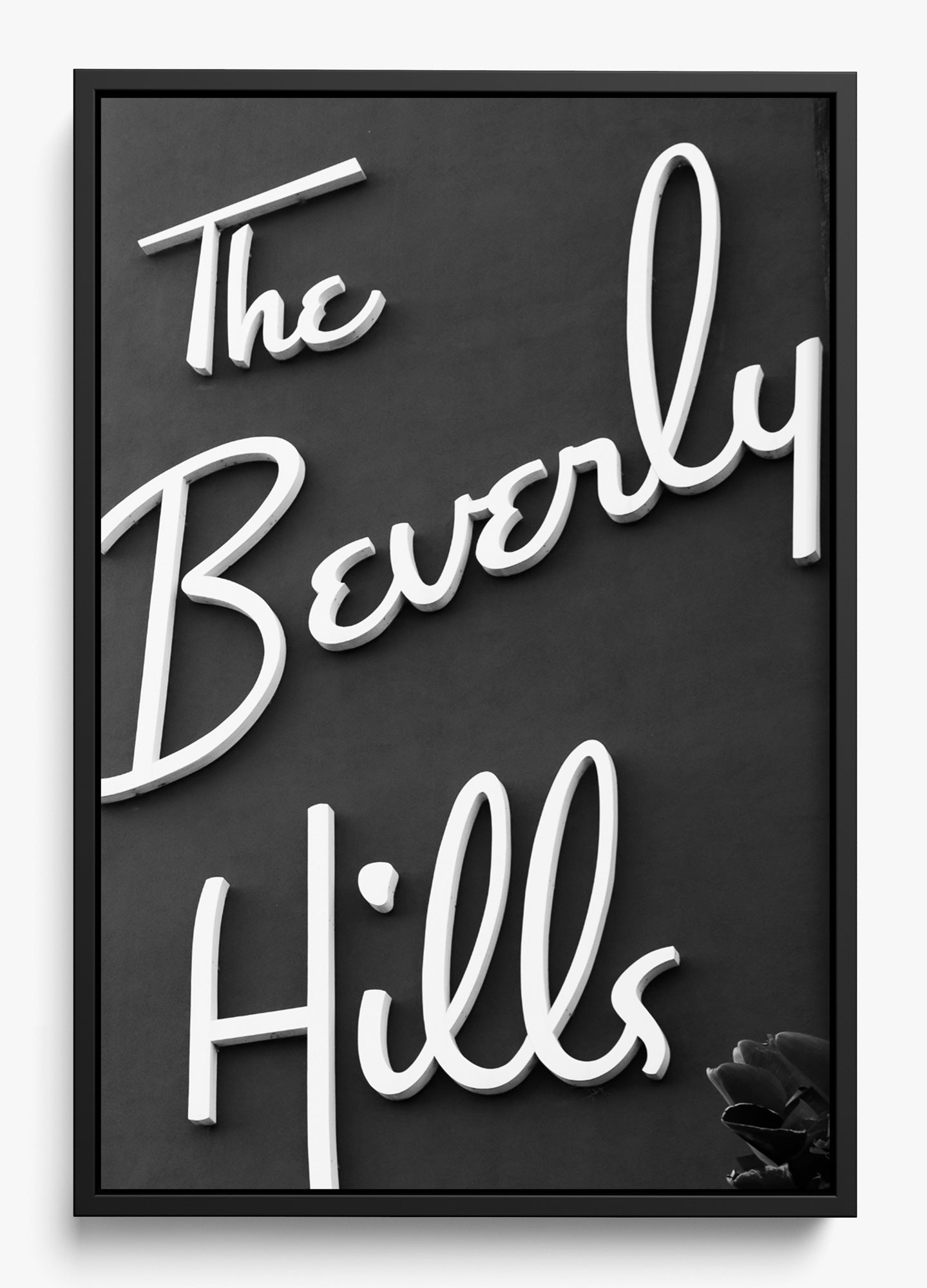 The Beverly Hills