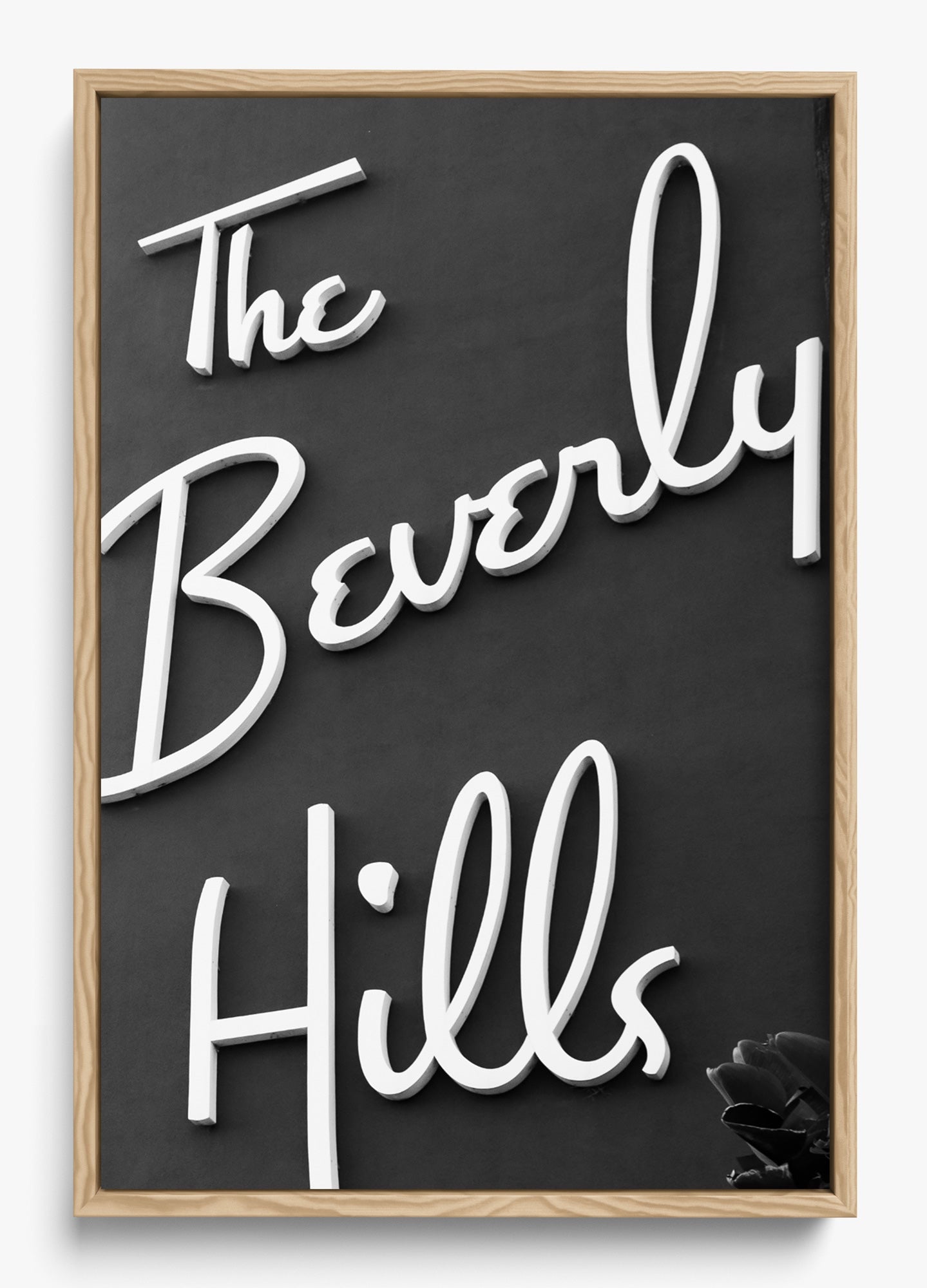 The Beverly Hills