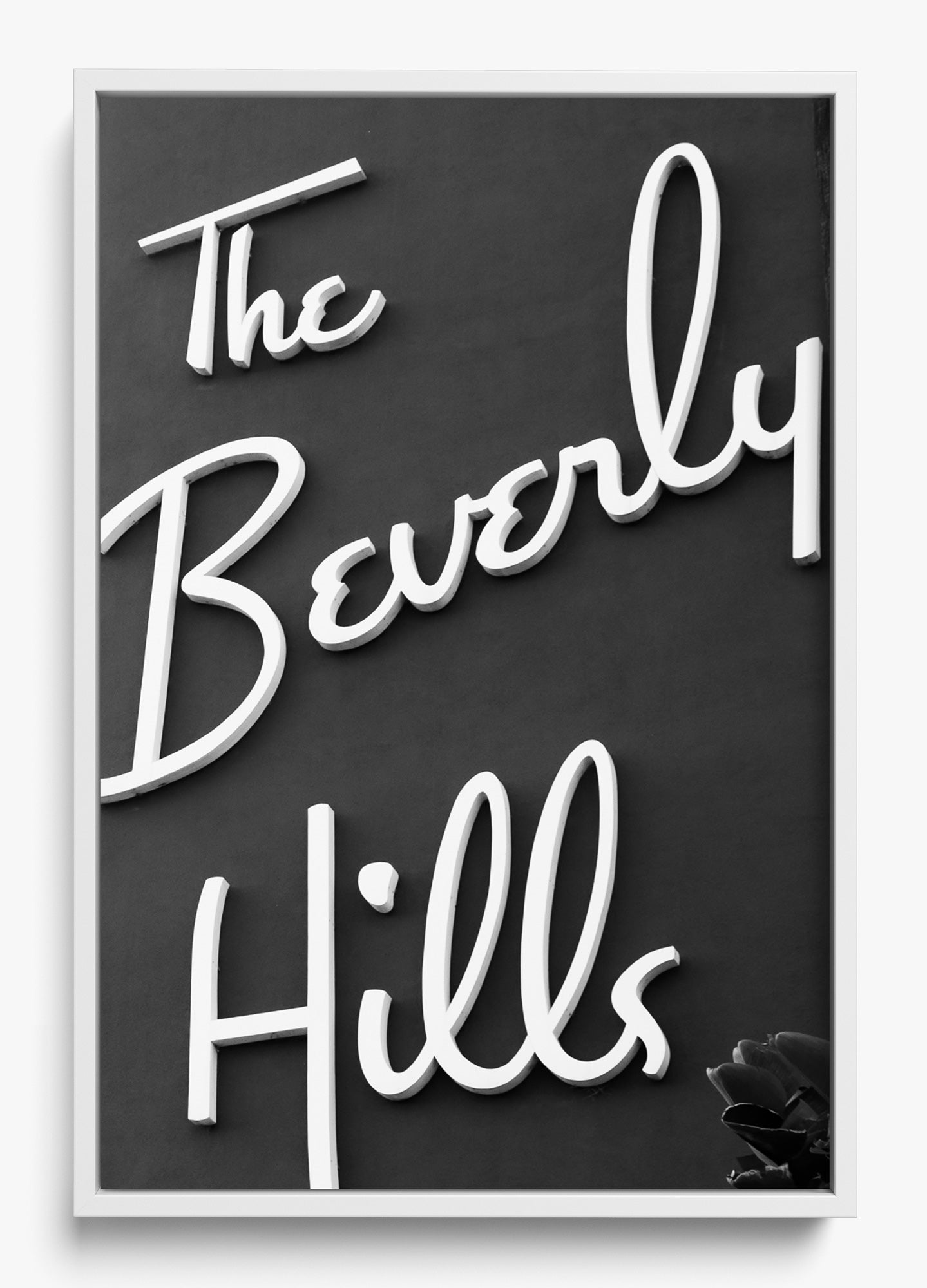 The Beverly Hills