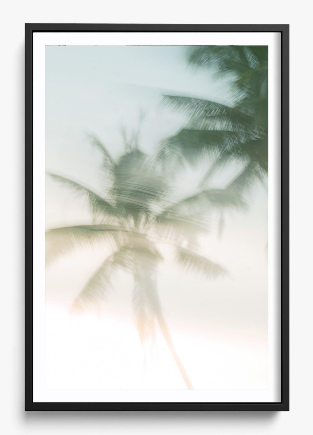 Sri Lankan Serenity
