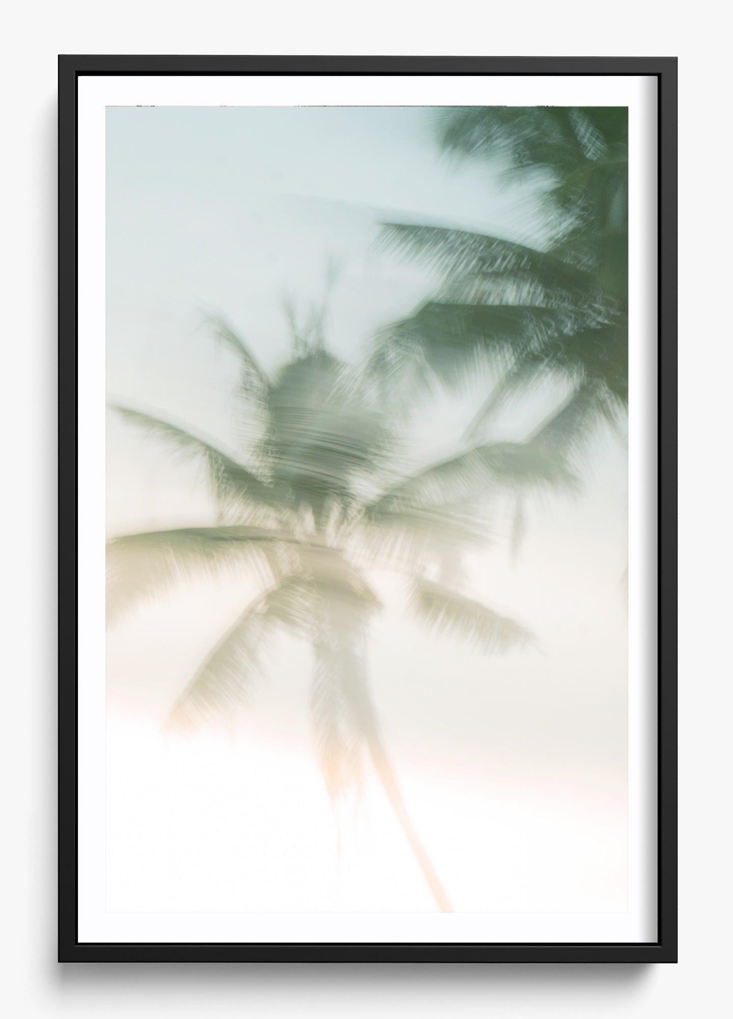 Sri Lankan Serenity