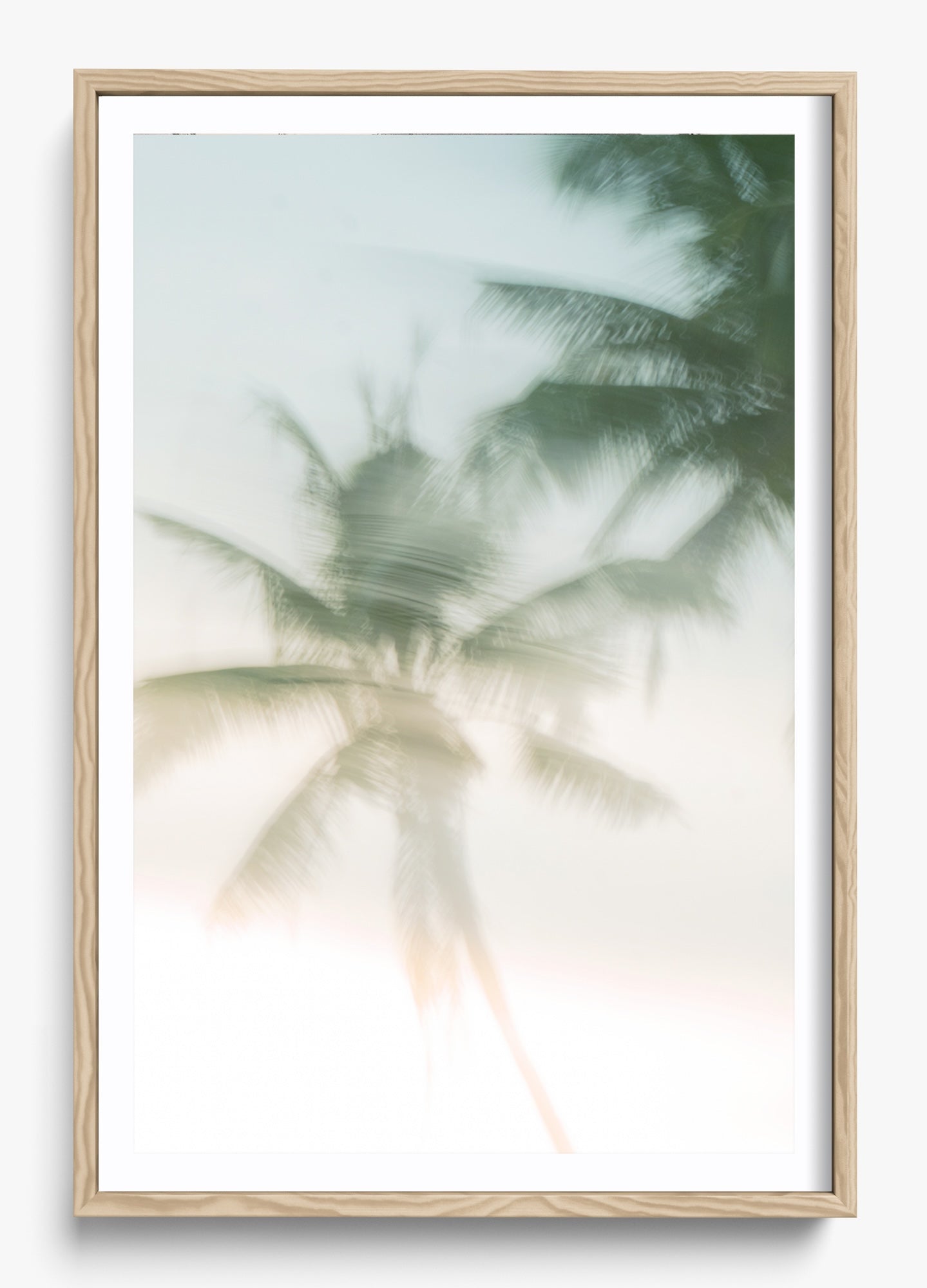 Sri Lankan Serenity