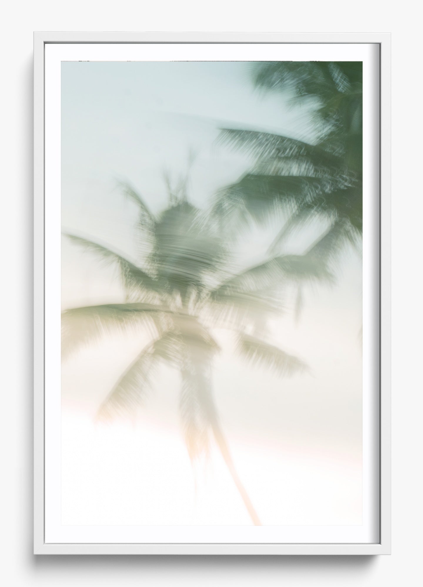 Sri Lankan Serenity