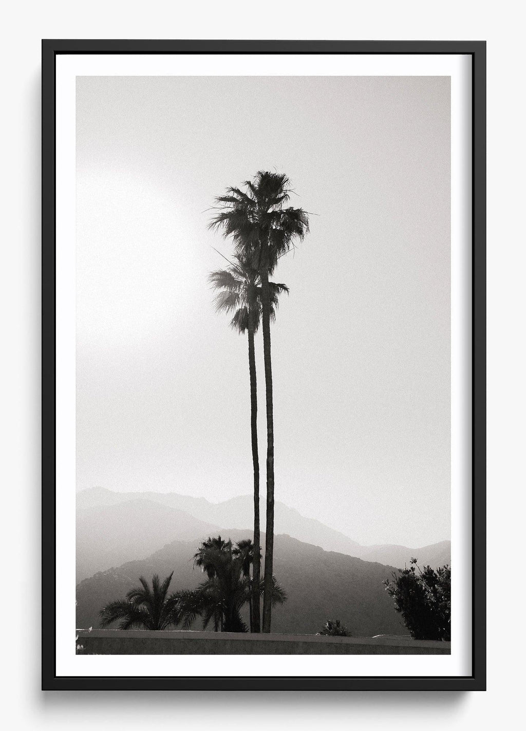 Twinning Palms