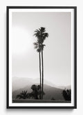 Twinning Palms