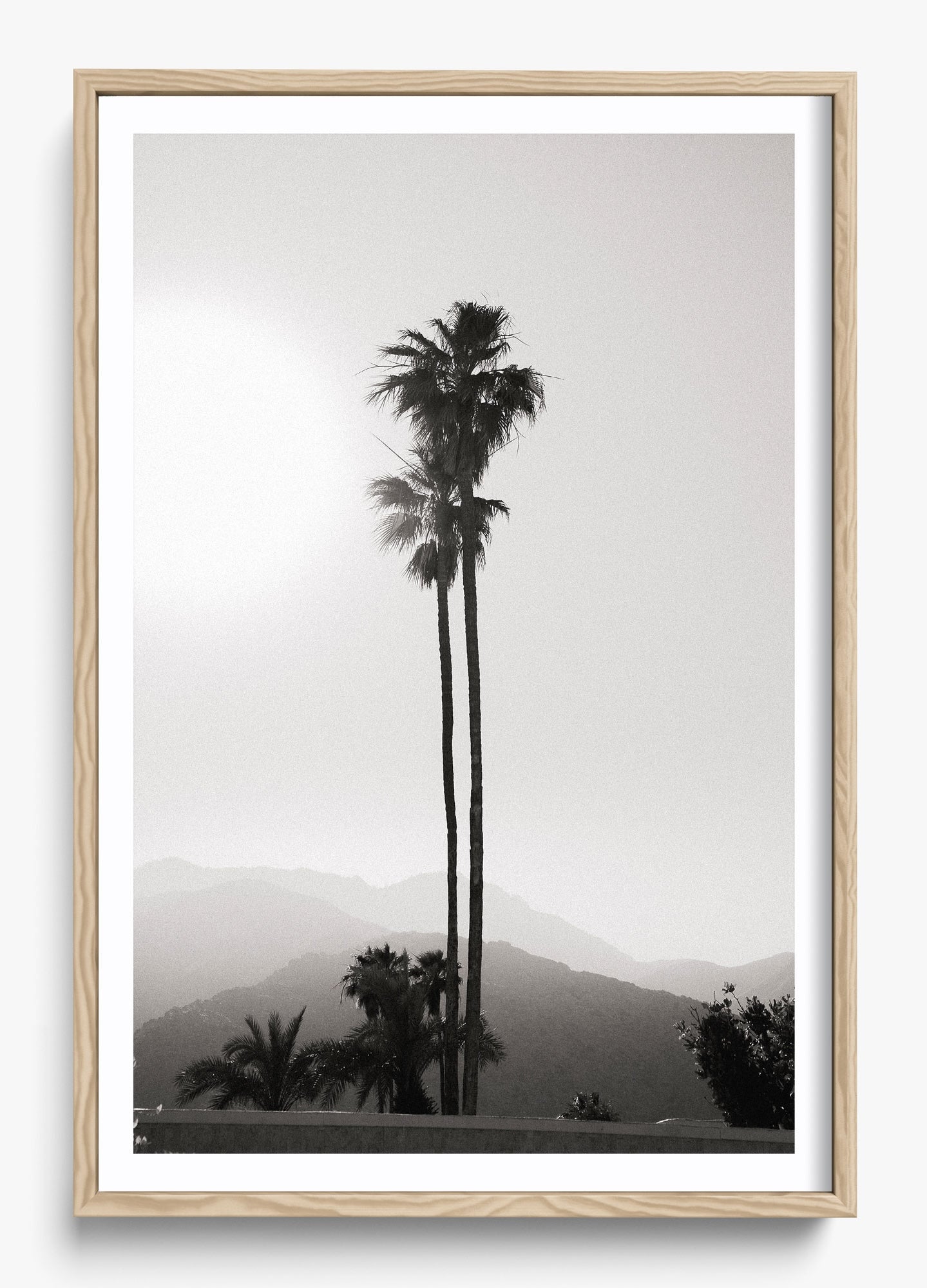 Twinning Palms