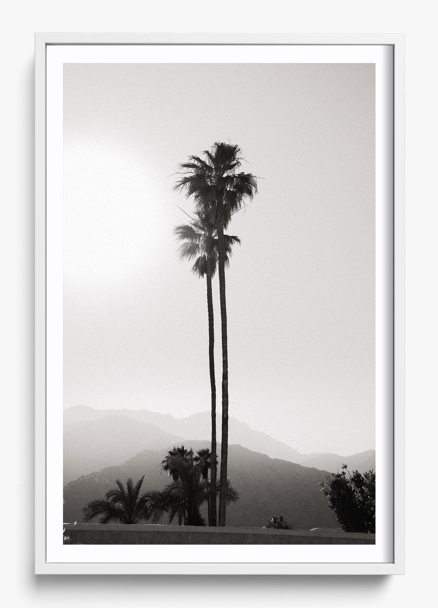 Twinning Palms