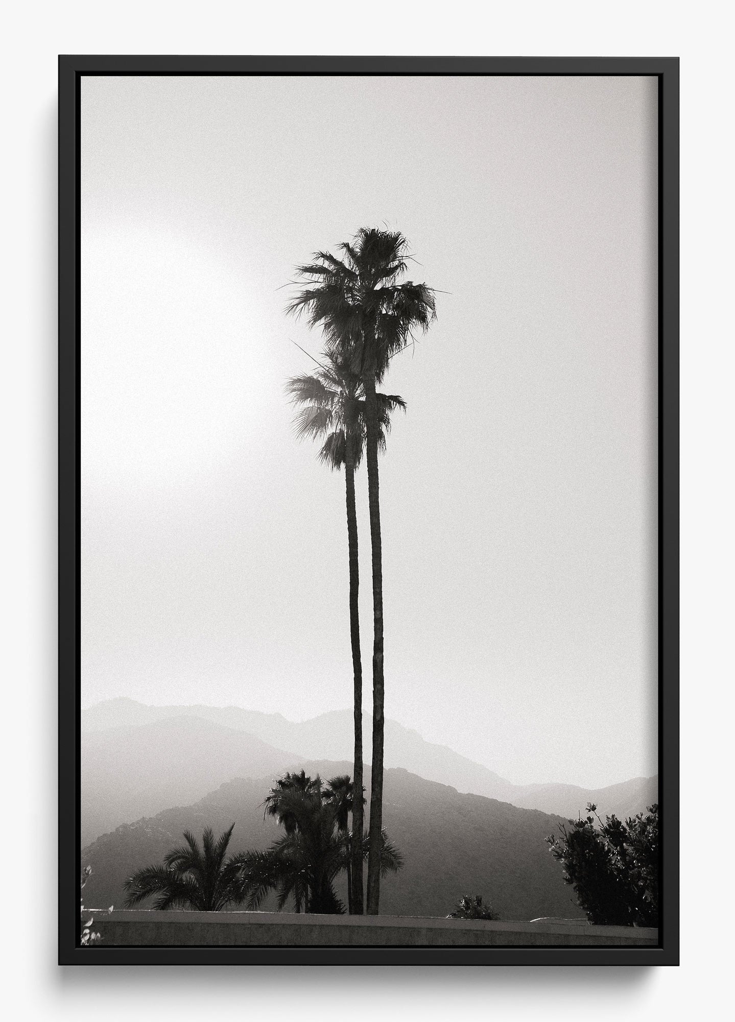 Twinning Palms
