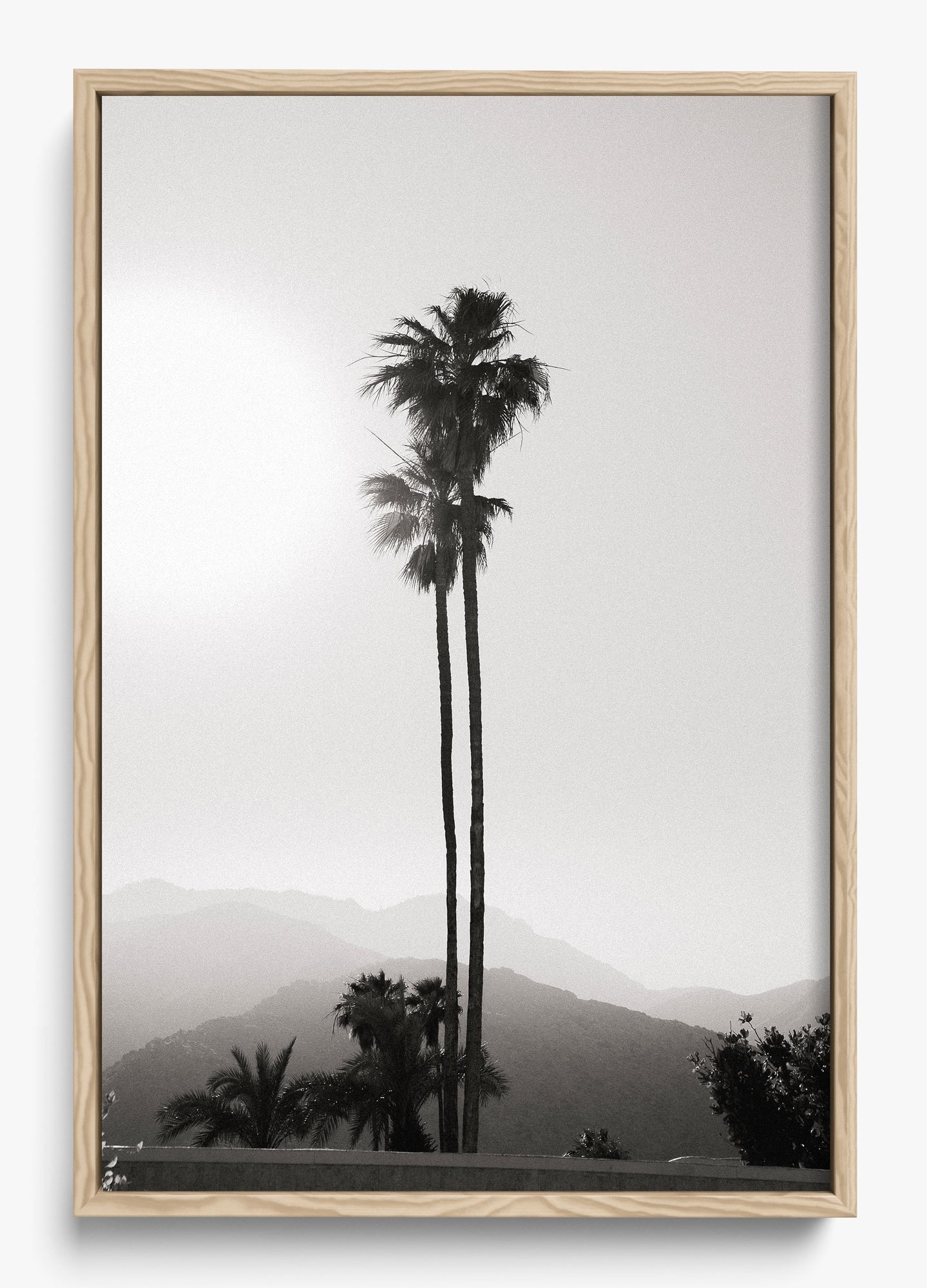 Twinning Palms
