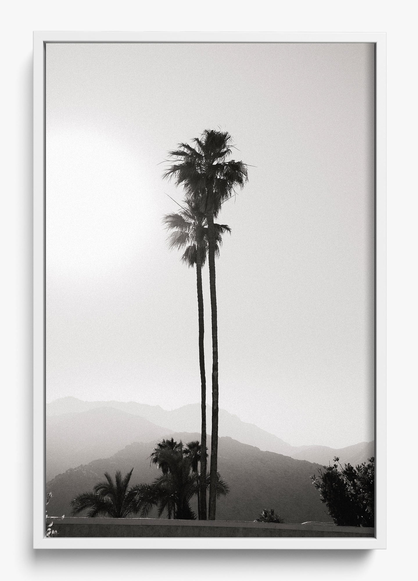 Twinning Palms