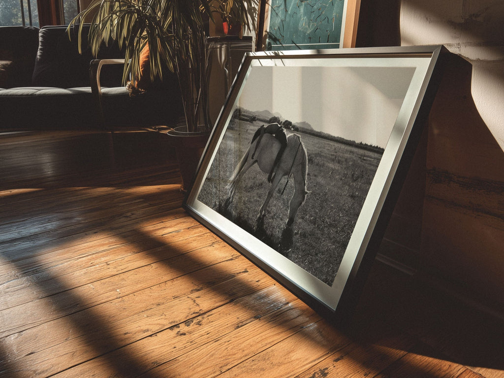 What A Ride