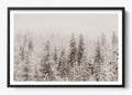 Snowfall In Yosemite