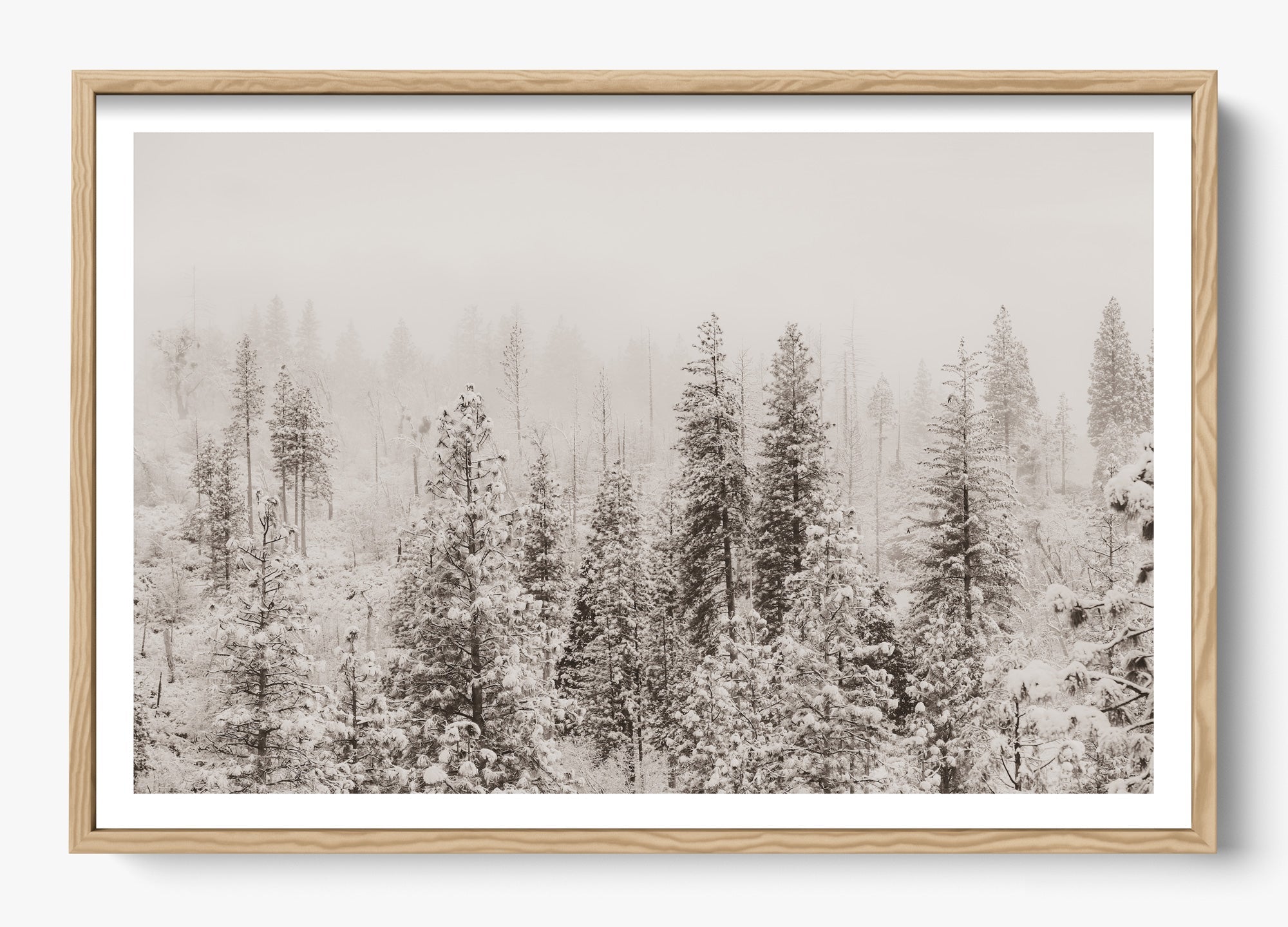Snowfall In Yosemite